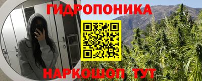 гидра Краснодар