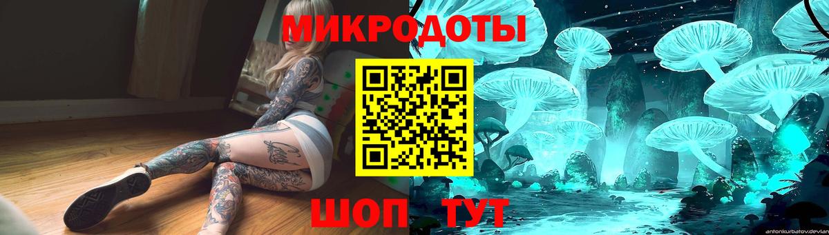 Кириши  Галлюциногенные грибы Cubensis  закладки  Вход с VPN 
